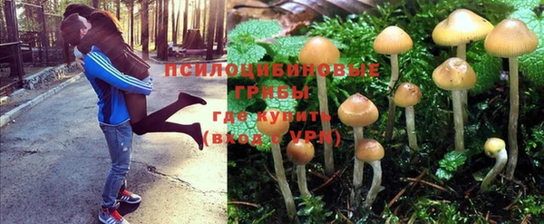 mdma Богданович