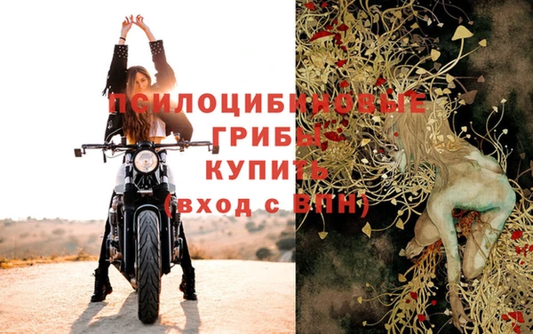 ГАЛЛЮЦИНОГЕННЫЕ ГРИБЫ Белоозёрский