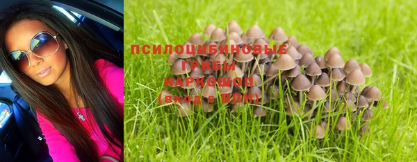 ГАЛЛЮЦИНОГЕННЫЕ ГРИБЫ Белоозёрский