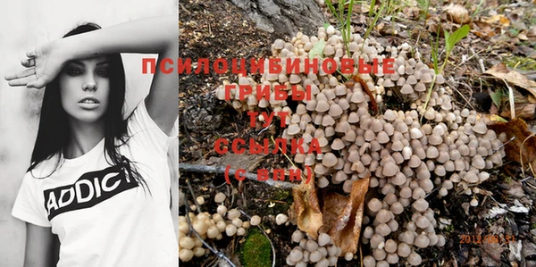 синтетический гашиш Белокуриха