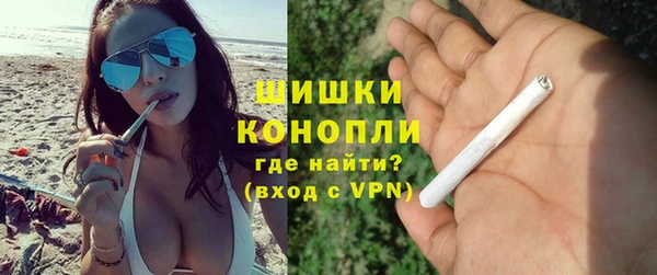 ГАЛЛЮЦИНОГЕННЫЕ ГРИБЫ Белоозёрский