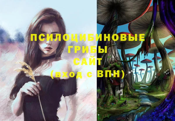 ГАЛЛЮЦИНОГЕННЫЕ ГРИБЫ Белоозёрский