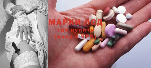 ГАЛЛЮЦИНОГЕННЫЕ ГРИБЫ Белоозёрский