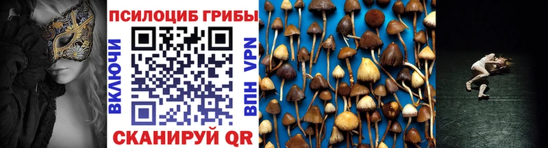 OMG онион  Оха  Галлюциногенные грибы Cubensis 